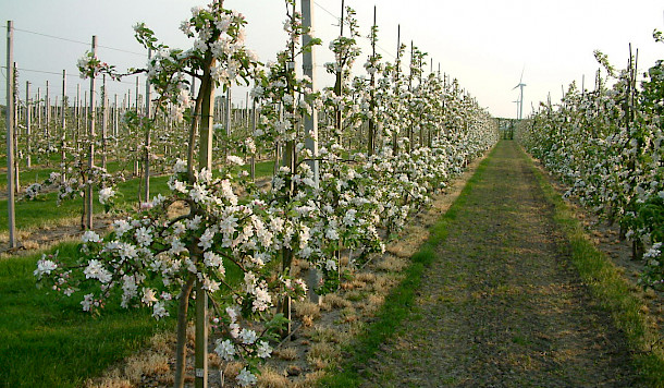 a reliable production system