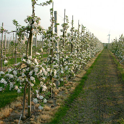 a reliable production system