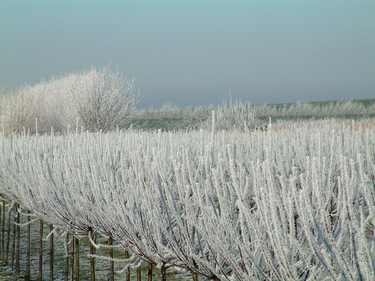 overzicht_27_december_2004_098